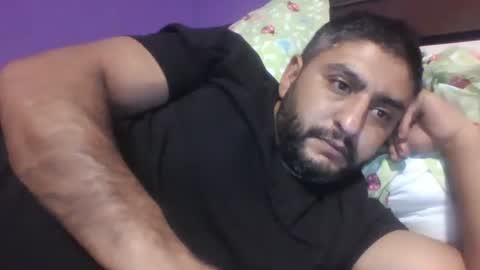 07901767463 online show from December 22, 2024, 7:42 pm