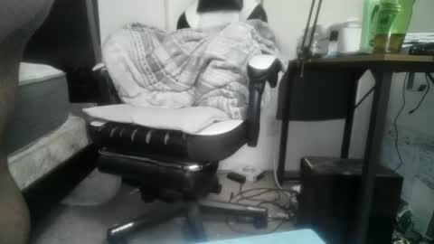 11inchtattedtrinibad online show from February 17, 2026, 9:50 am