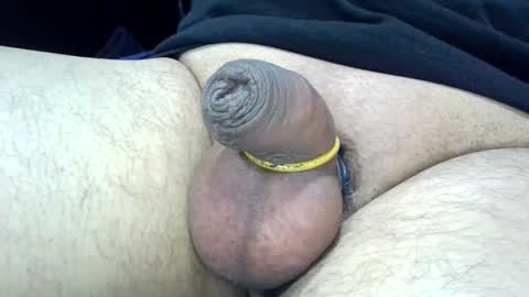 MICA online show from December 28, 2024, 5:14 pm