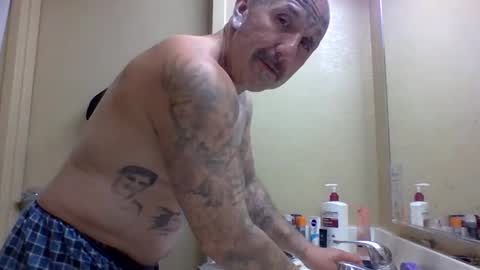 Snapshot of 1nastya8 chatting on April 1, 2026, 6:16 pm TheShyOne18 online show from April 1, 2026, 6:16 pm