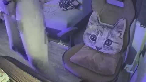 Superborec23 online show from April 12, 2026, 3:06 pm