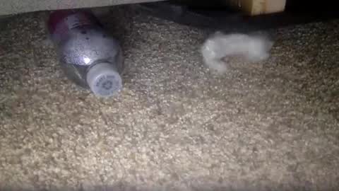 Snapshot of 30nick chatting on February 10, 2026, 4:16 am 30nick online show from February 10, 2026, 4:16 am