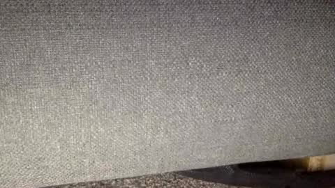 Snapshot of 30nick chatting on March 7, 2026, 9:06 am 30nick online show from March 7, 2026, 9:06 am