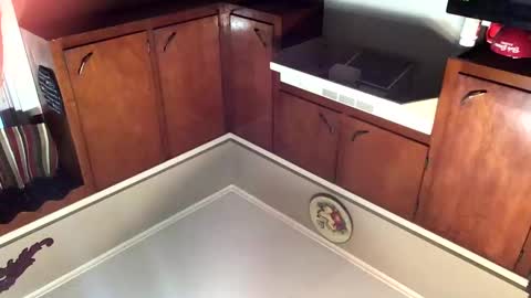 33adidas online show from November 8, 2025, 11:54 am