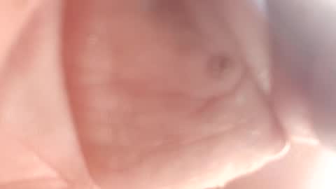 Thisguy online show from February 12, 2025, 7:24 pm