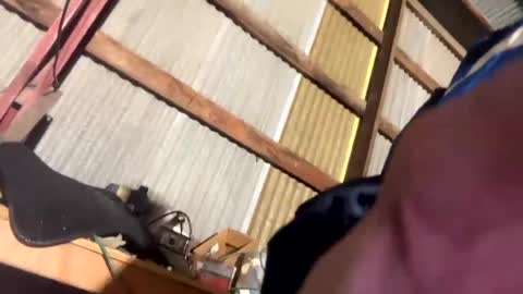 420danny online show from February 24, 2025, 3:44 am