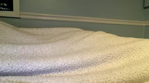 56nicecock35 online show from March 8, 2026, 2:21 pm