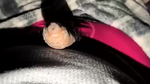 69angel96 online show from December 23, 2025, 6:33 am