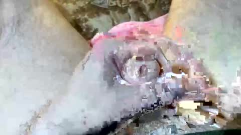 Snapshot of 69rumbler chatting on November 6, 2025, 10:05 am 69rumbler online show from November 6, 2025, 10:05 am