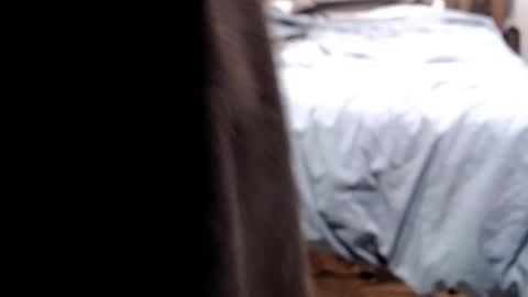 Snapshot of 701phuckfun chatting on February 16, 2026, 1:07 pm 701PhuckFun online show from February 16, 2026, 1:07 pm