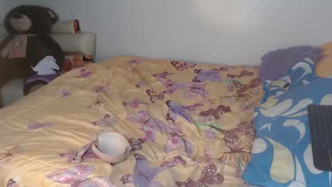 SunFlower online show from December 18, 2025, 12:38 am