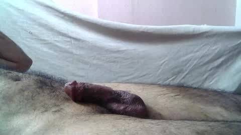 Massive hungry cock online show from May 16, 2026, 12:18 am
