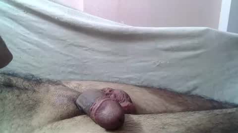 Massive hungry cock online show from June 18, 2026, 7:29 pm