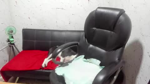     ----       online show from March 7, 2026, 5:04 am