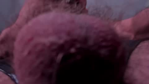 Snapshot of _adamcoper_ chatting on October 25, 2025, 3:40 pm _adamcoper_ online show from October 25, 2025, 3:40 pm