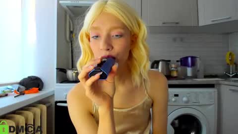 Snapshot of _alice_kitty chatting on December 17, 2024, 8:56 am Gaylord online show from December 17, 2024, 8:56 am