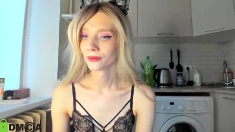 Snapshot of _alice_kitty chatting on January 28, 2025, 12:00 pm Gaylord online show from January 28, 2025, 12:00 pm