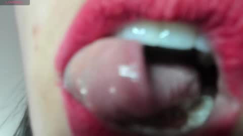 antonia online show from February 3, 2026, 1:49 pm