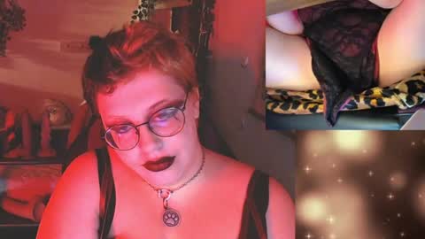 bandit online show from July 23, 2026, 5:05 am