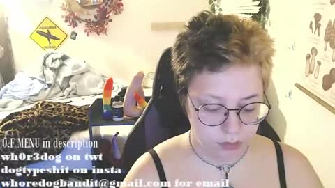 bandit online show from July 28, 2026, 2:40 am