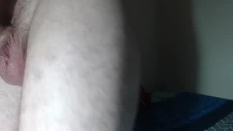 _bigpines online show from February 26, 2025, 8:54 pm