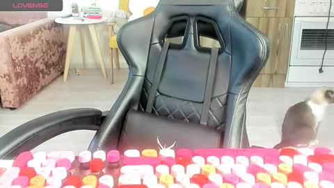 Snapshot of _feralberry__ chatting on March 10, 2026, 6:29 am Alis online show from March 10, 2026, 6:29 am