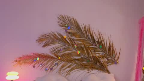 Holly online show from March 12, 2025, 10:26 am