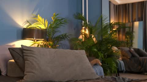 Snapshot of _keti_ chatting on November 1, 2025, 11:29 pm FANSLY --- anal in private 700 tokens online show from November 1, 2025, 11:29 pm