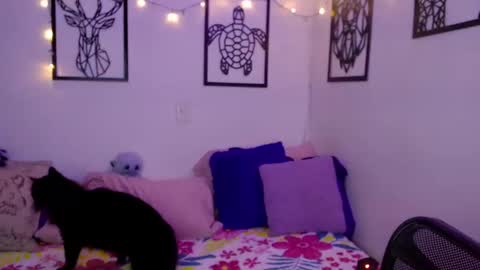 Snapshot of _marcela_wi chatting on January 18, 2025, 12:57 am Marce online show from January 18, 2025, 12:57 am