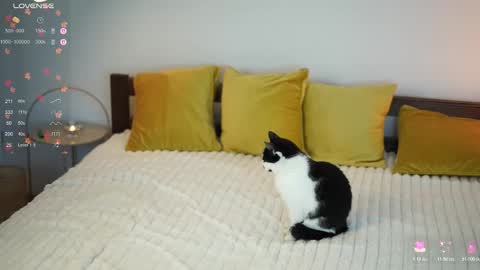 _million_dollarsmile online show from December 1, 2025, 12:43 pm