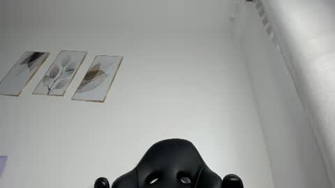 _molly_rosse_ online show from August 6, 2026, 12:07 pm