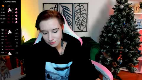 Rein online show from December 15, 2024, 12:06 pm
