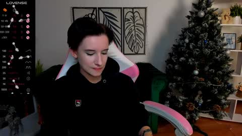 Rein online show from December 17, 2024, 12:33 pm