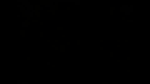 Melisa online show from December 2, 2024, 2:41 pm