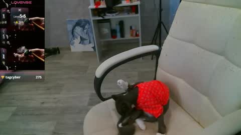 Snapshot of _sweet_ruby_ chatting on February 26, 2025, 7:53 am Milana welcome to my world online show from February 26, 2025, 7:53 am