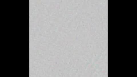 Snapshot of _tammarra_ chatting on February 14, 2025, 2:54 pm _tammarra_ online show from February 14, 2025, 2:54 pm