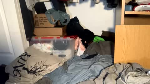 Snapshot of _yourdirtysecret23 chatting on September 18, 2025, 5:42 am Matt snap - mattdillon1995 online show from September 18, 2025, 5:42 am