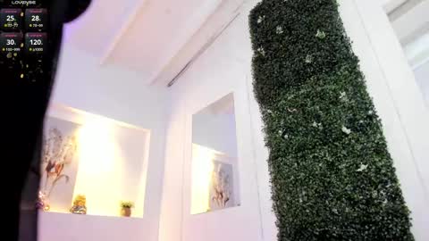 Snapshot of abby_mae_ chatting on February 11, 2025, 6:51 am Abby  online show from February 11, 2025, 6:51 am