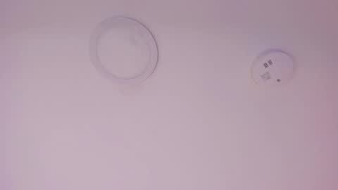 A B B Y online show from February 7, 2026, 11:58 am