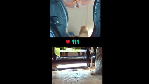 Snapshot of abidode5 chatting on October 21, 2025, 7:42 am abidode5 online show from October 21, 2025, 7:42 am