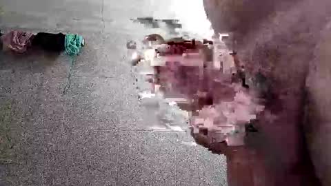 ac7492291 online show from January 14, 2026, 2:33 pm