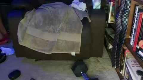 aCACiAs2022 online show from February 14, 2026, 6:15 pm