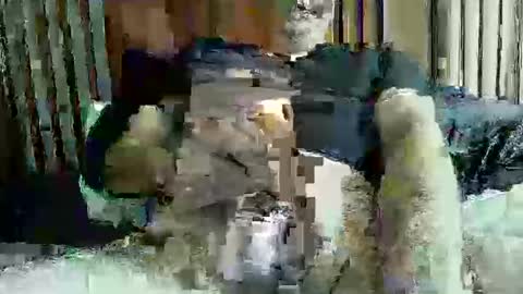 ace1man online show from October 11, 2025, 1:53 pm