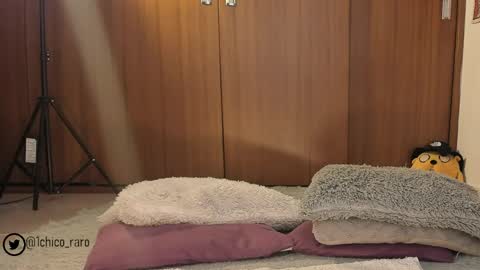 Jhonny online show from May 22, 2026, 9:53 pm