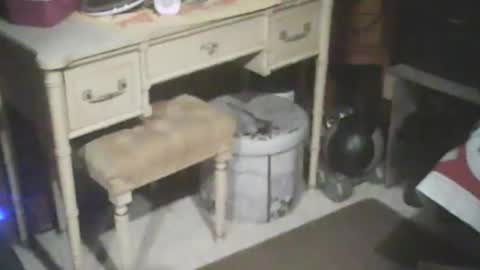 Snapshot of adamsny chatting on January 15, 2025, 8:30 am adamsny online show from January 15, 2025, 8:30 am