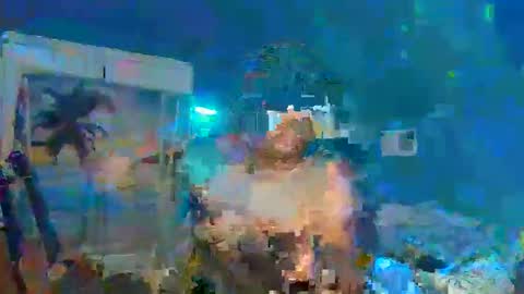 Snapshot of adoniswoody chatting on December 31, 2024, 12:32 am Adonis XDDDDDDDD Woody online show from December 31, 2024, 12:32 am
