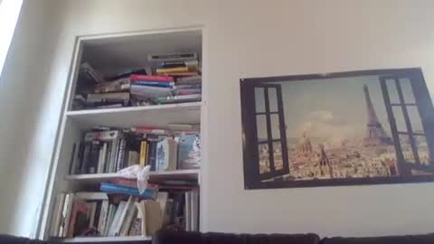 Snapshot of aestheticform chatting on April 13, 2026, 8:47 pm aesthetic form online show from April 13, 2026, 8:47 pm