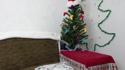 Snapshot of agatha_moore_ chatting on January 2, 2025, 11:52 am Agatha online show from January 2, 2025, 11:52 am