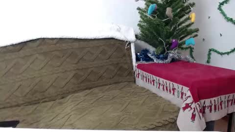 Snapshot of agatha_moore_ chatting on January 4, 2025, 3:39 pm Agatha online show from January 4, 2025, 3:39 pm