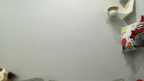 Aile online show from December 29, 2024, 3:54 am